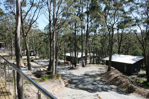 Craggy Peaks Wilderness Cabins - Dalby Accommodation 22