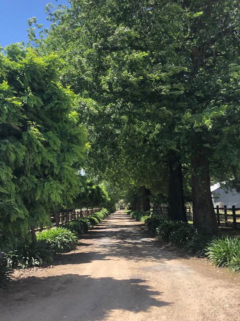 Oak Lane Guest House & Farm Stay - Dalby Accommodation 0