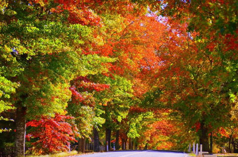 Oasis On Marsh - Dalby Accommodation 2