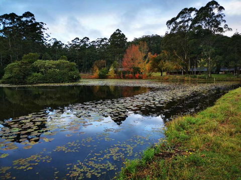 OCT Forest Lodge - Dalby Accommodation 2