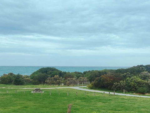 ODYSSEY APOLLO BAY - Dalby Accommodation 2