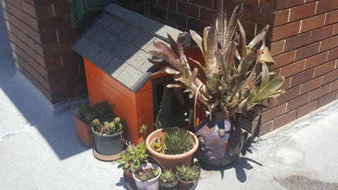 Orange Grove Hotel - Dalby Accommodation 0