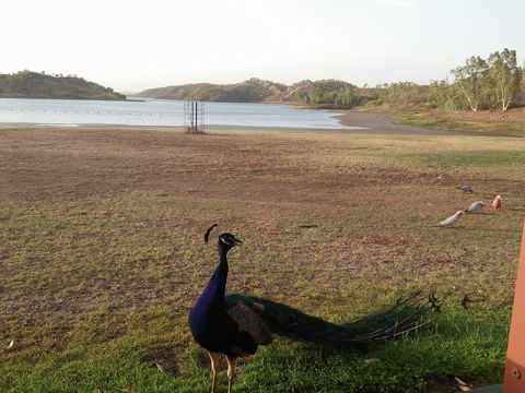 Overlander Hotel - Dalby Accommodation 2