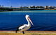 Parkside Marina 1 - CBD Location - thumb 2
