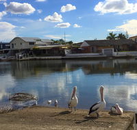 Pelican Cove Apartments - Dalby Accommodation
