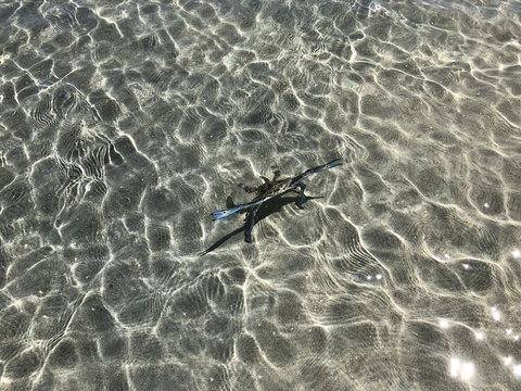 Peppermint Grove Beach Holiday Park - Dalby Accommodation 1