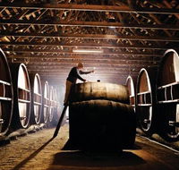 Pieter van Gent Winery  Vineyard - Dalby Accommodation