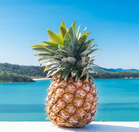 Pineapple House Whitsundays - Dalby Accommodation