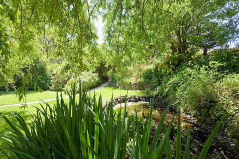 PLUM TREE COTTAGE - Spa Cottage With Woodfire - Dalby Accommodation 3