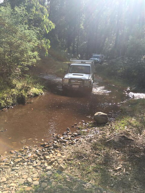 PNL 4WDriving Narbethong - Dalby Accommodation 3