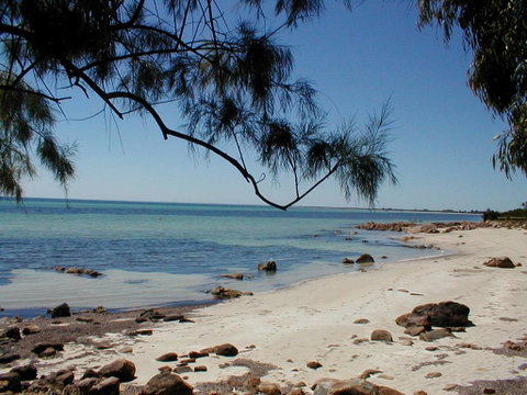 Purple Patch - Dalby Accommodation 1