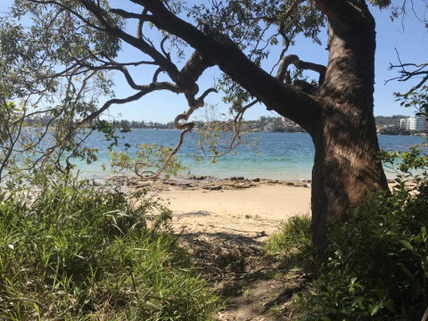 Queenscliff Beach Apartment - Dalby Accommodation 1