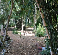 Rainforest Water Front River Shack Secluded. - Dalby Accommodation