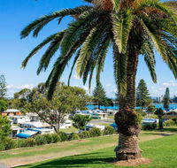 Reflections Holiday Parks Forster Beach - Dalby Accommodation