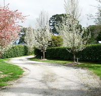 Robin Hill Manor - rambling retreat  tennis court - Dalby Accommodation