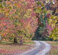 Rustic Spirit - Dalby Accommodation