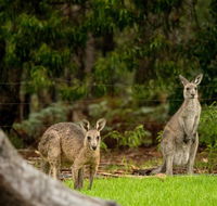 Secura Lifestyle Countryside Kalaru - Dalby Accommodation