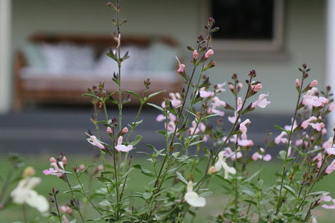 Serendipity On Allyn - Dalby Accommodation 0