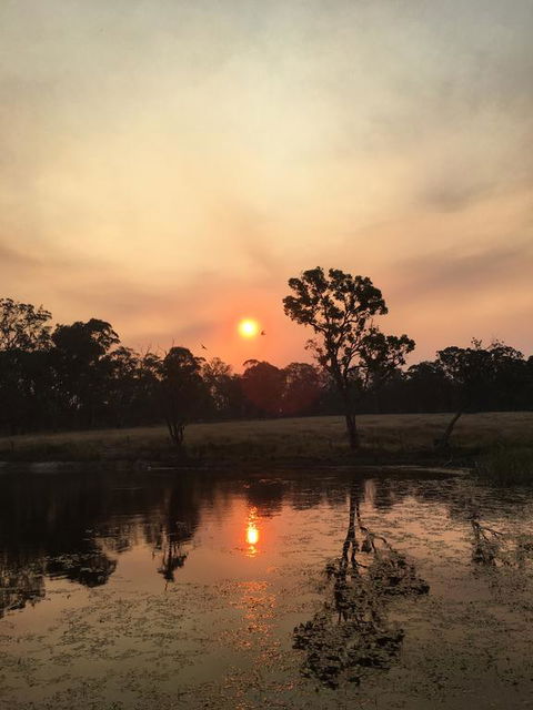Serenity On Stanthorpe - Dalby Accommodation 2
