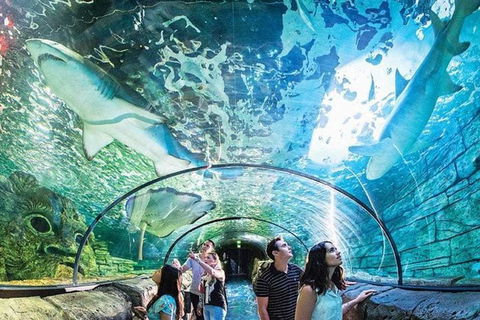 Spacious Studio 2mins To Station&Shopping Sleeps4 B - Dalby Accommodation 1