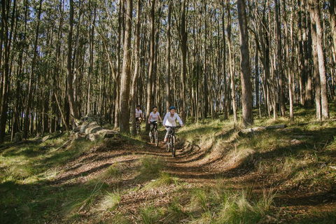 Spicers Peak Lodge - Dalby Accommodation 3