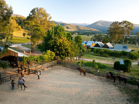 Spring Spur - Dalby Accommodation 3