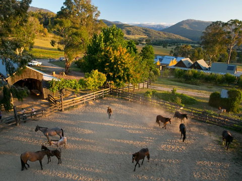 Spring Spur - Dalby Accommodation 0