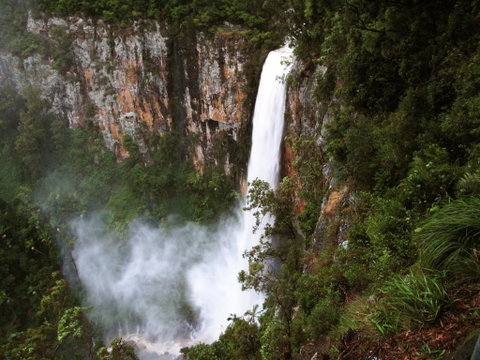 Springbrook Lyrebird Retreat - Dalby Accommodation 2