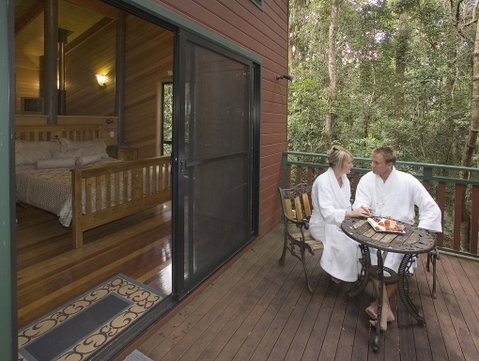 Springbrook Lyrebird Retreat - Dalby Accommodation 3