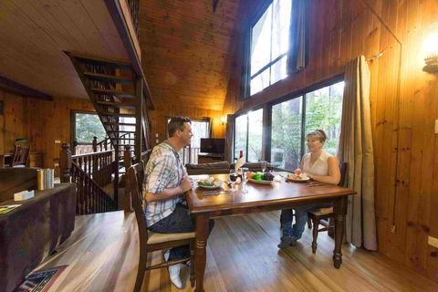 Springbrook Mountain Chalets - Dalby Accommodation 2
