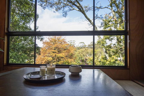 Springbrook25 Upper Apartment - Dalby Accommodation 0