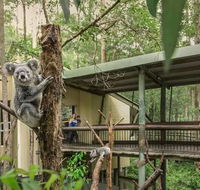 Springwood Meditation Centre - Dalby Accommodation