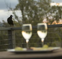 Stockton Rise Country Retreats - Dalby Accommodation