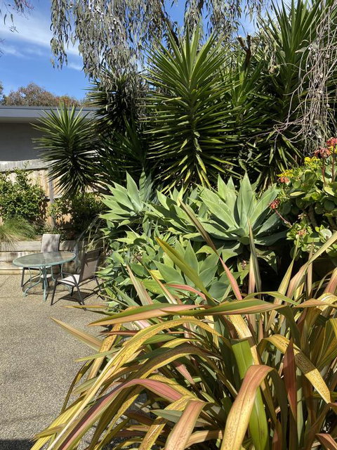 Surf Coast Haven - Dalby Accommodation 3