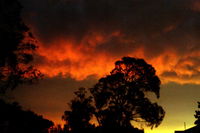 Book Thulimbah Accommodation Vacations Dalby Accommodation Dalby Accommodation