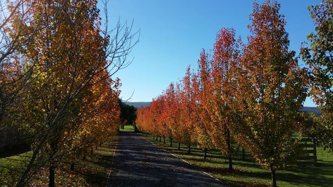 Tamar Valley Farm Stay - Dalby Accommodation 3