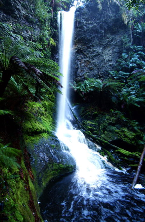 Corinna Wilderness Village - Dalby Accommodation 40