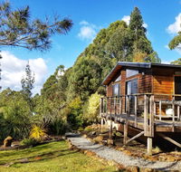 Southern Forest Accommodation - Dalby Accommodation