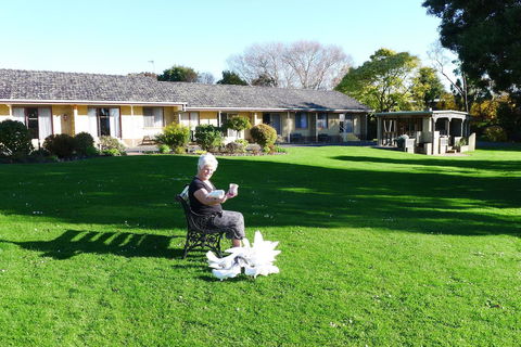 Willaway Motel Apartments - Dalby Accommodation 10
