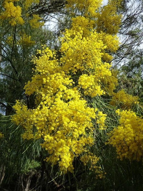 Eagles Rise Tasmania - Dalby Accommodation 29