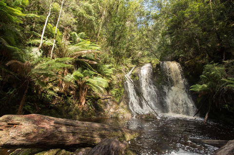 Strahan Village - Dalby Accommodation 27