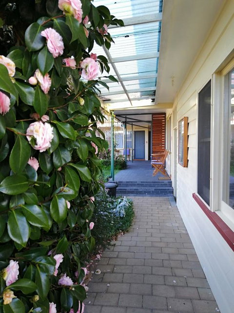 Wintersun Gardens Motel - Dalby Accommodation 5