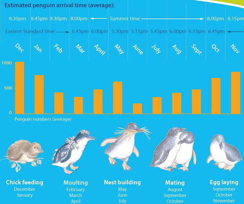 Diamond Island Resort - Dalby Accommodation 28