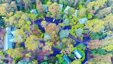 Lemonthyme Wilderness Retreat - Dalby Accommodation 1