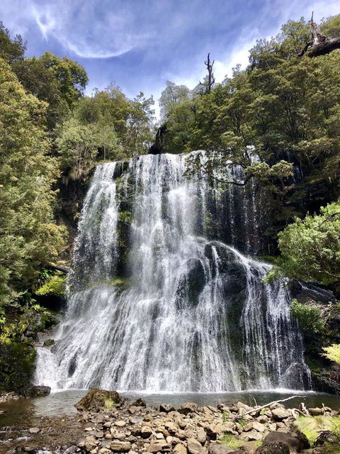 Lemonthyme Wilderness Retreat - Dalby Accommodation 9