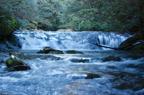 Lemonthyme Wilderness Retreat - Dalby Accommodation 10