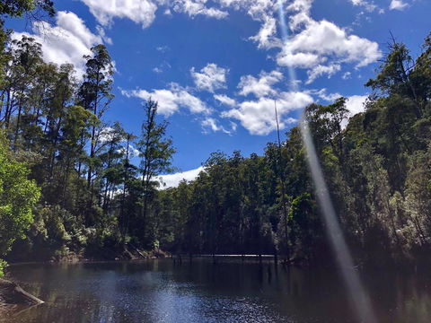 Lemonthyme Wilderness Retreat - Dalby Accommodation 7