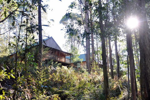 Lemonthyme Wilderness Retreat - Dalby Accommodation 25