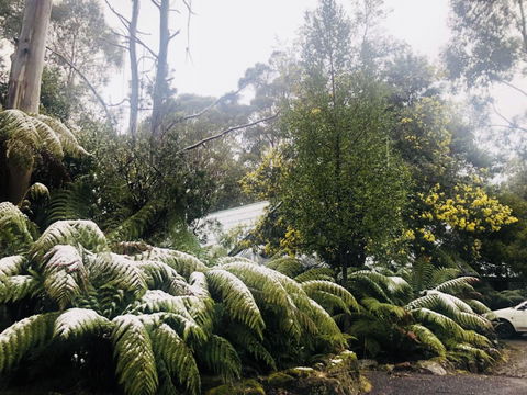 Lemonthyme Wilderness Retreat - Dalby Accommodation 16