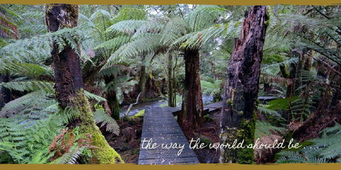 Lemonthyme Wilderness Retreat - Dalby Accommodation 17